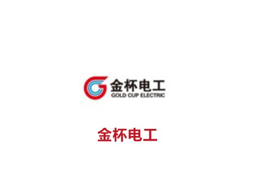 金杯電工
